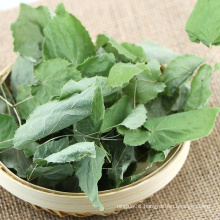 bulk medicinal herbs sagittatum epimedium icariin 10% 40% 60% 98%